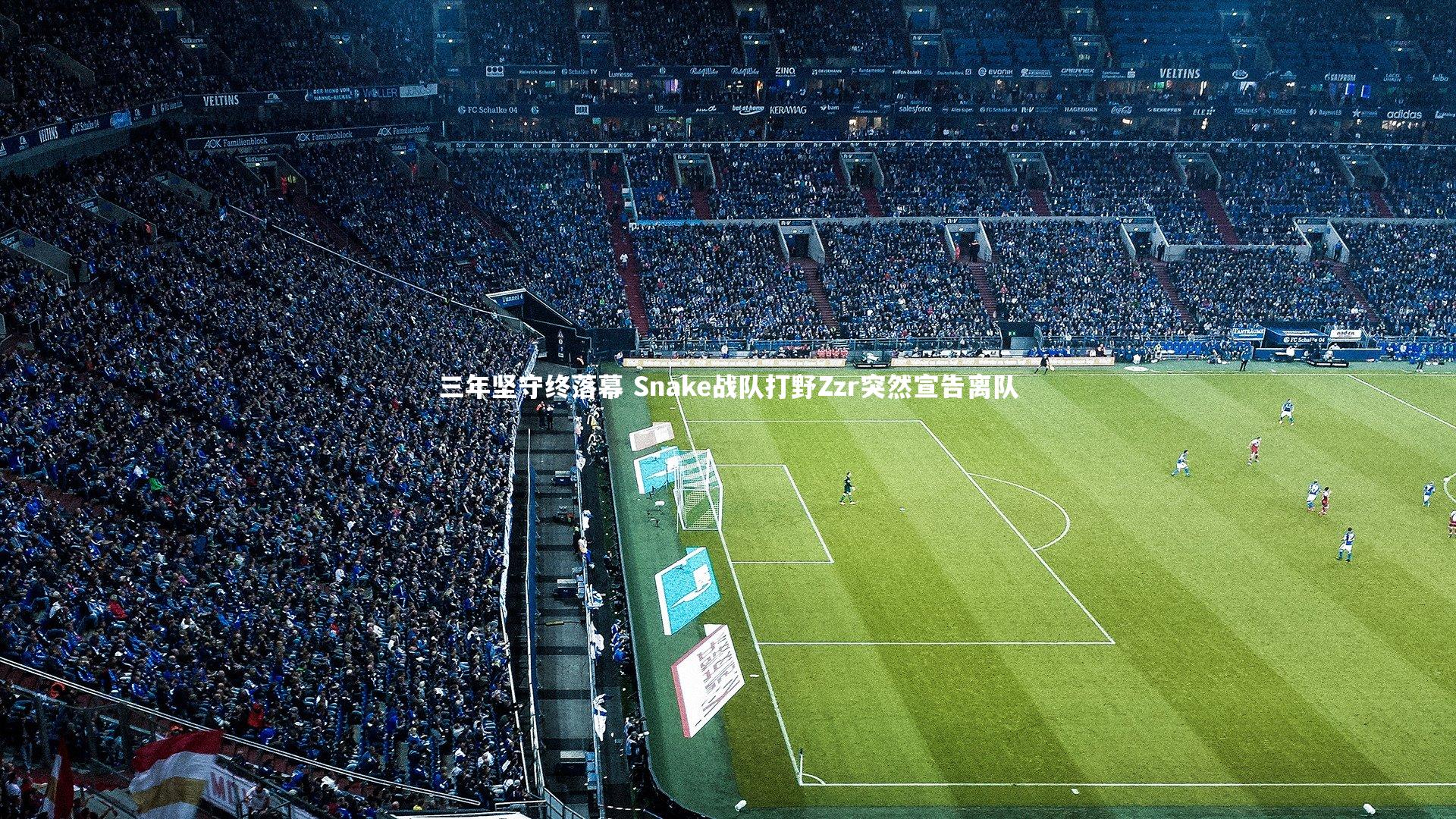 B体育：三年坚守终落幕 Snake战队打野Zzr突然宣告离队